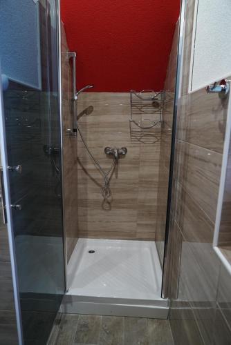 una ducha con puerta de cristal en un baño en Villa Tiha noc, en Vlašić