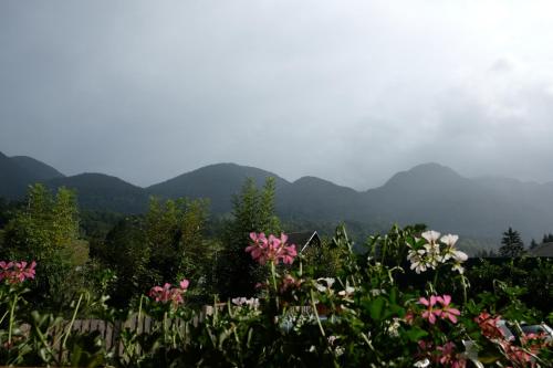a field of flowers with mountains in the background at Apartments Timjana in Bohinj