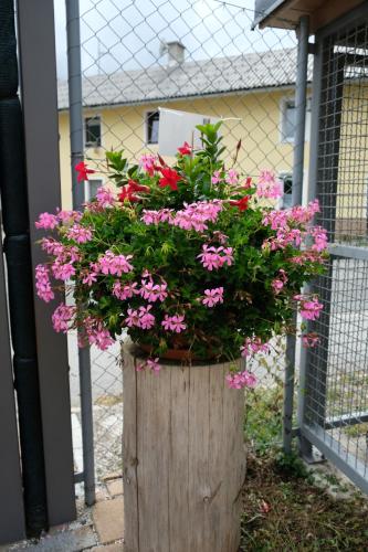 a wooden planter with pink flowers in it at Apartments Timjana in Bohinj