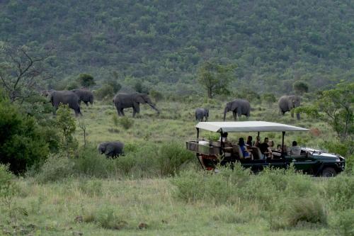 a group of people riding in a vehicle with elephants in the background at Inzalo Safari Lodge in Welgevonden Game Reserve