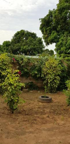 a stone wall with two bushes and trees at Heather's Retreat in Brufut