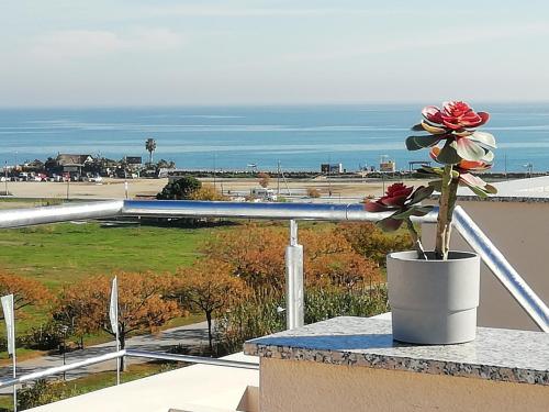 Appartement Torre del Mar 4 You (Spanje Torre del Mar ...