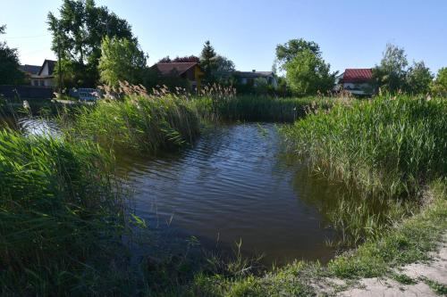 Sirály Apartman 4080 Hajdúnánás, Sirály utca 9. kép - 3