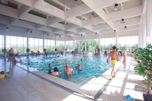 a group of people in a swimming pool at Apartman Felix in Laktaši