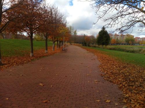 Afbeelding uit fotogalerij van LA LAGUNA in Laguna de Duero