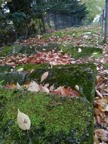 a garden with leaves on the grass and rocks at Chambre dhote Tatami in Suwa