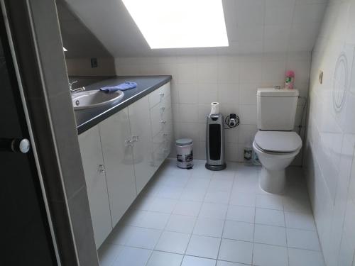 małą łazienkę z toaletą i umywalką w obiekcie B&B Agnes w mieście Vlissegem