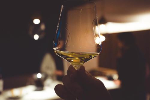 a person holding up a glass of wine at WURZENBERG Hotel Lodges Südsteiermark in Gamlitz