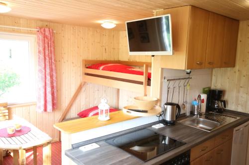 een kleine keuken met een wastafel en een magnetron bij Ferienhaus Apfelstädt in Tambach-Dietharz