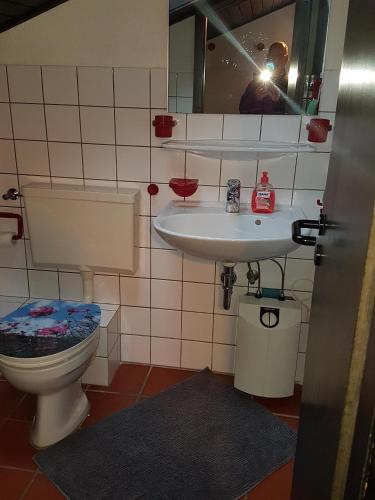 a bathroom with a toilet and a sink at Ferienhaus Ammermann in Lissendorf