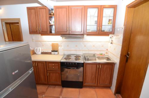 a small kitchen with a stove and a sink at Maritimo Apartments in Kotor