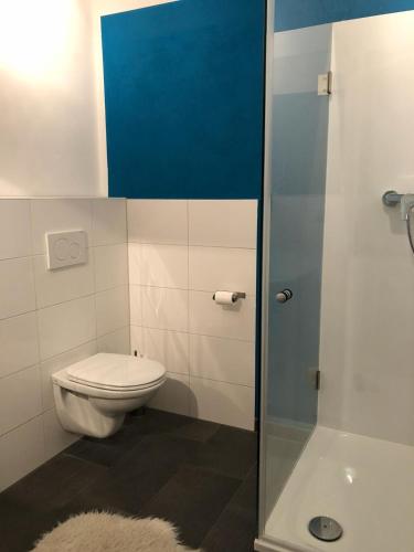 a bathroom with a toilet and a glass shower door at Apartment im Zentrum von Markt Indersdorf in Markt Indersdorf