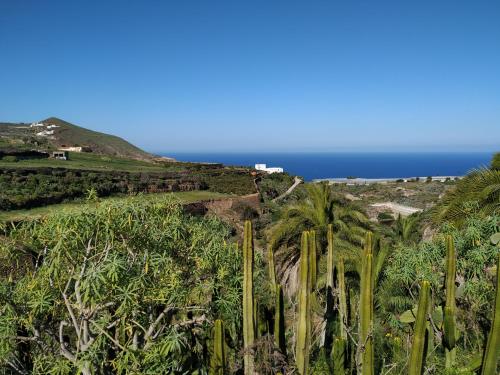 un grupo de palmeras y el océano en Villa Canaria piscina jacuzzi jardín, en Santa María de Guía de Gran Canaria