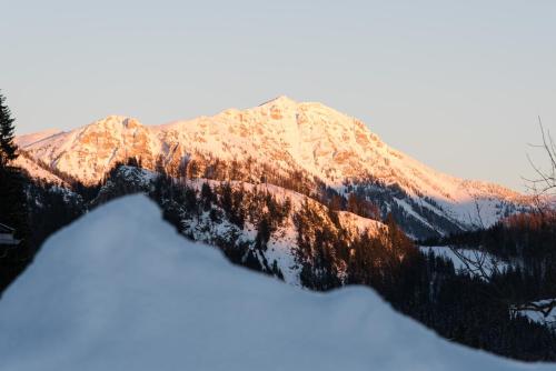 アパートメントから撮影された、または一般的な山の景色