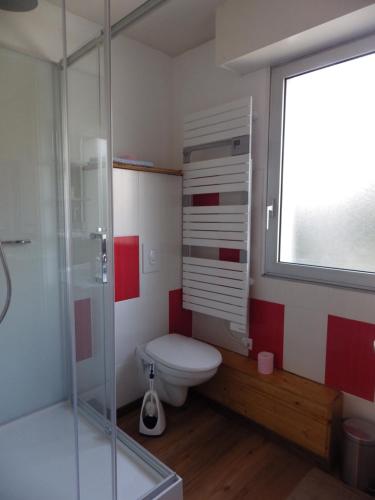 a bathroom with a toilet and a glass shower at Gîte du Lac in Gérardmer