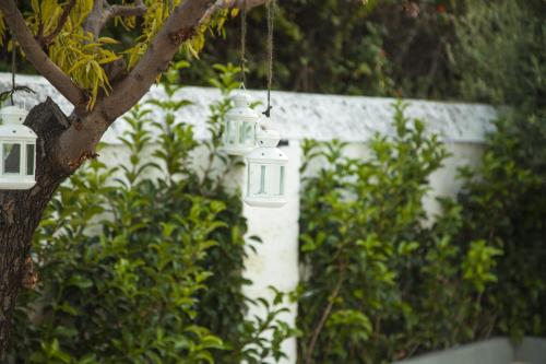 a bird feeder hanging from a tree in front of a fence at VILLA ADELAIDE SUITE & ROOM in Torre a Mare