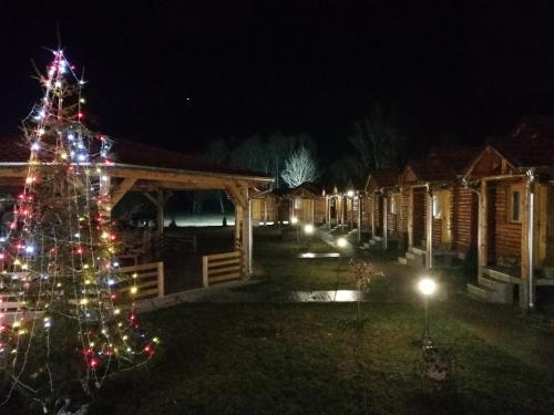 Φωτογραφία από το άλμπουμ του Južni Vetar σε Trnski Odorovci