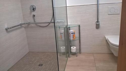 a shower with a glass door and a toilet at berg.FREUND im Allgäu in Sonthofen