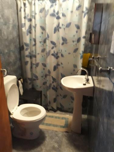 Ένα μπάνιο στο TOMI