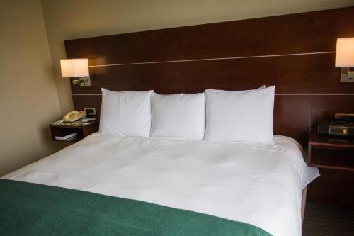 Ein Bett oder Betten in einem Zimmer der Unterkunft Wyndham Moline on John Deere Commons