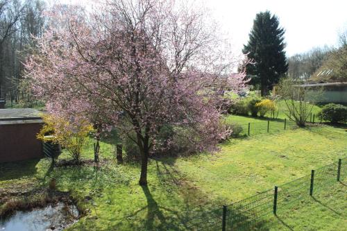 a tree with pink flowers on it in a yard at Ferienhaus an der Grenze zu Hamburg Zentrale Lage in Neu Wulmstorf