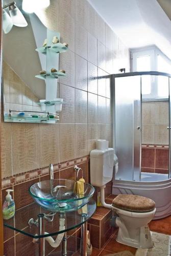a bathroom with a toilet and a glass sink at Pensiunea Aurora Izvorul Muntelui in Bicaz