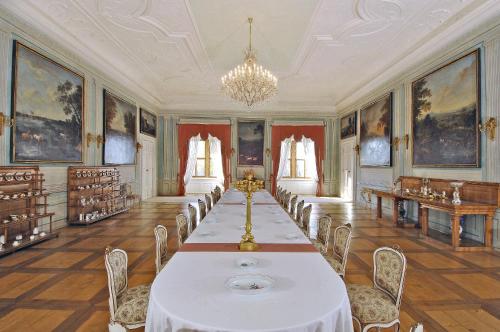 a large room with a long table and chairs at Penzion V Podzámčí Litomyšl in Litomyšl