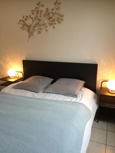 a bedroom with a bed with two pillows and two lamps at Appartement Orion in Colmar