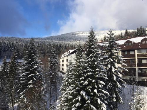 Holiday Apartment Spindleruv Mlyn during the winter