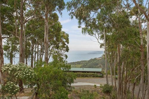 a bench in the middle of a forest of trees at Beacon Point Ocean View Villas in Apollo Bay