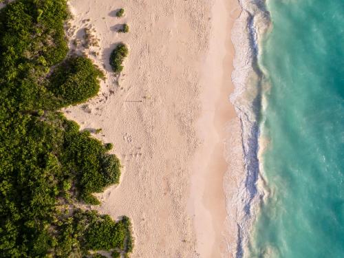 an overhead view of a beach with trees and the ocean at Grand Palladium Select Costa Mujeres - All Inclusive in Cancún