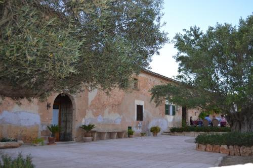 a building with trees and people sitting in a courtyard at Agroturismo Finca Son Sala in Campos