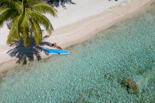 an overhead view of a person with a surfboard on the beach at Ninamu Resort in Tikehau