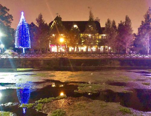 a christmas tree on a bridge over a river at night at Puli Story House in Puli
