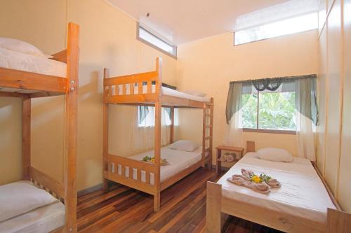 Litera o literas de una habitación en Islas del Río Hostel