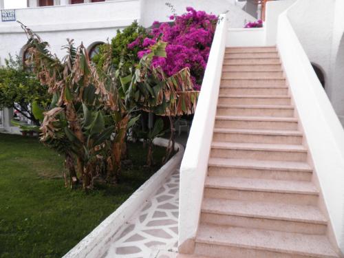 Jardin de l'établissement Rubini Rooms