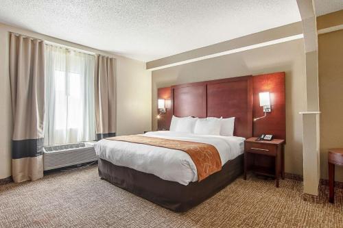 a hotel room with a large bed and a window at Comfort Suites Knoxville Airport in Alcoa