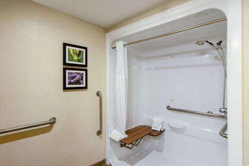 a bathroom with a shower and a tub and a toilet at Comfort Suites Airport Alcoa in Alcoa