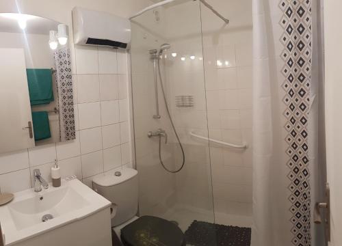 une salle de bain avec une douche, des toilettes et un lavabo dans l'établissement Venizelos, à Cannes