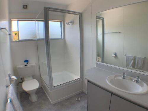ein Bad mit einem WC, einem Waschbecken und einer Dusche in der Unterkunft Aloha Seaview Resort Motel in Paihia