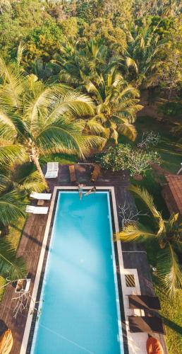 an overhead view of a swimming pool with palm trees at Handun Villas in Talalla