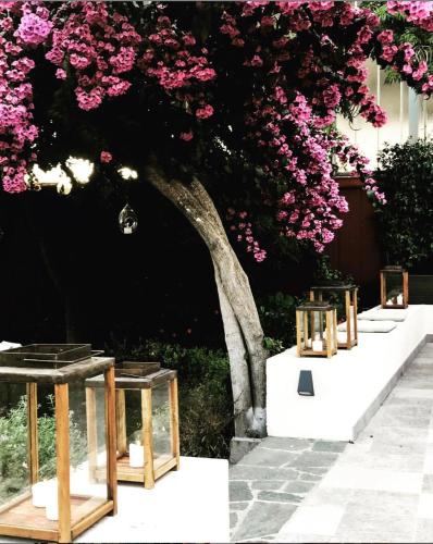 a row of tables under a tree with pink flowers at Blu Hotel in Lavagna