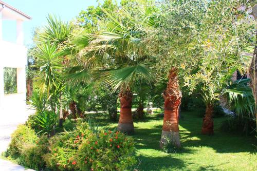 Gallery image of Green Garden Eco-Holiday in Vieste