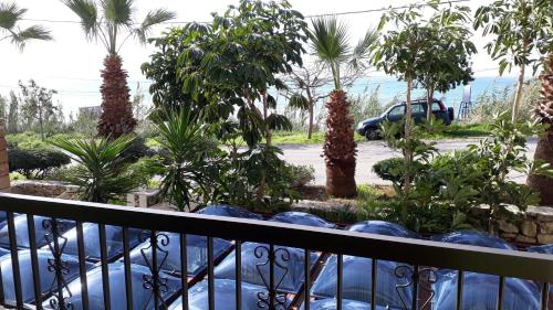 Victory Byblos Hotel & Spaにある庭