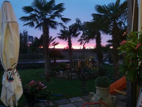 a patio with a umbrella and palm trees in a yard at Hotel Ristorante Da Marco in San Mauro a Mare
