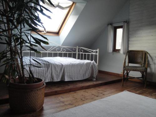 1 dormitorio con cama, planta y ventana en Urlaub in der edition Schwarzarbeit en Bremerhaven