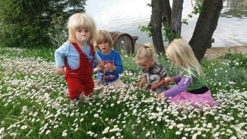 a group of children playing in a field of flowers at Guest House Glogovac in Kamenica