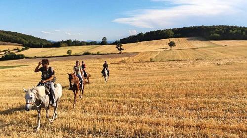 a group of people riding horses in a field at Guest House Glogovac in Kamenica