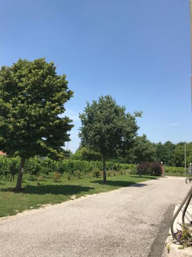 a road with two trees on the side at Agriturismo Gazza Ladra in Noventa di Piave