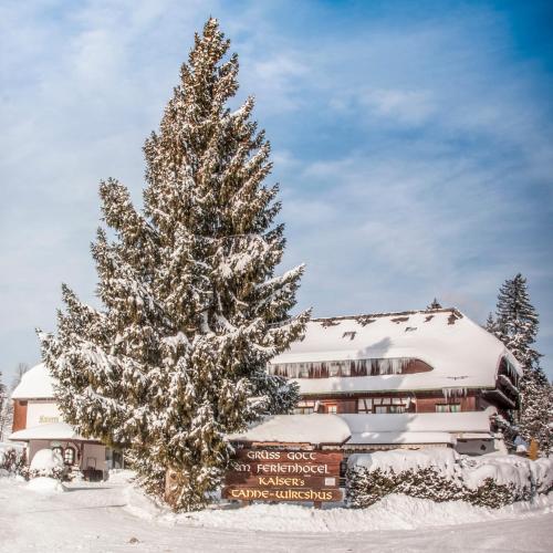 a snow covered christmas tree in front of a building at Kaisers Tanne - Premium Alles Inklusive Hotel in Breitnau